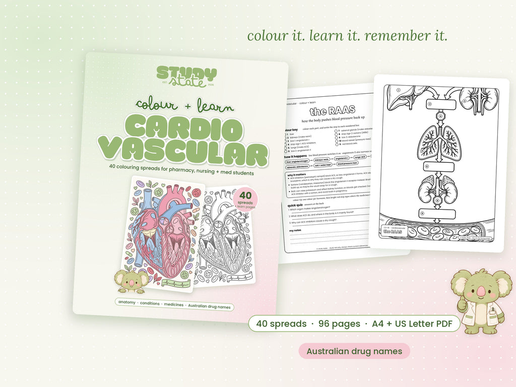 Colour + Learn: Cardiovascular (Printable PDF)