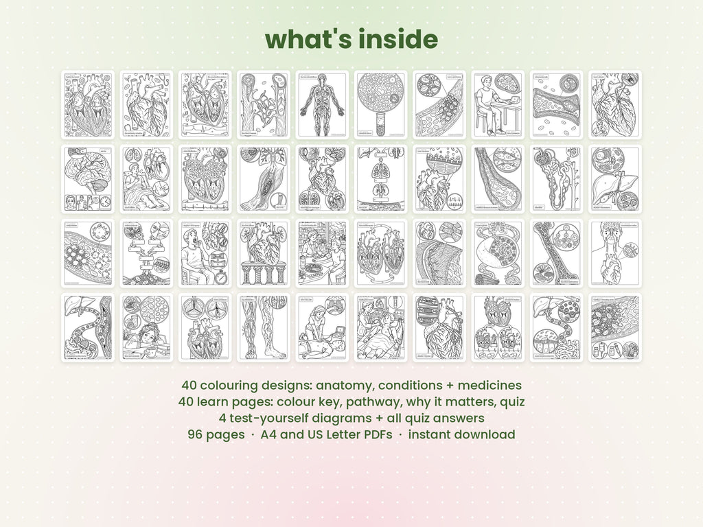 Colour + Learn: Cardiovascular (Printable PDF)