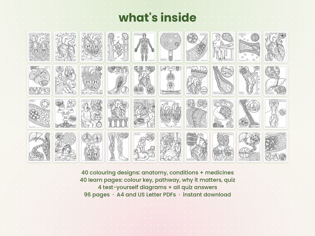 Colour + Learn: Cardiovascular (Printable PDF)