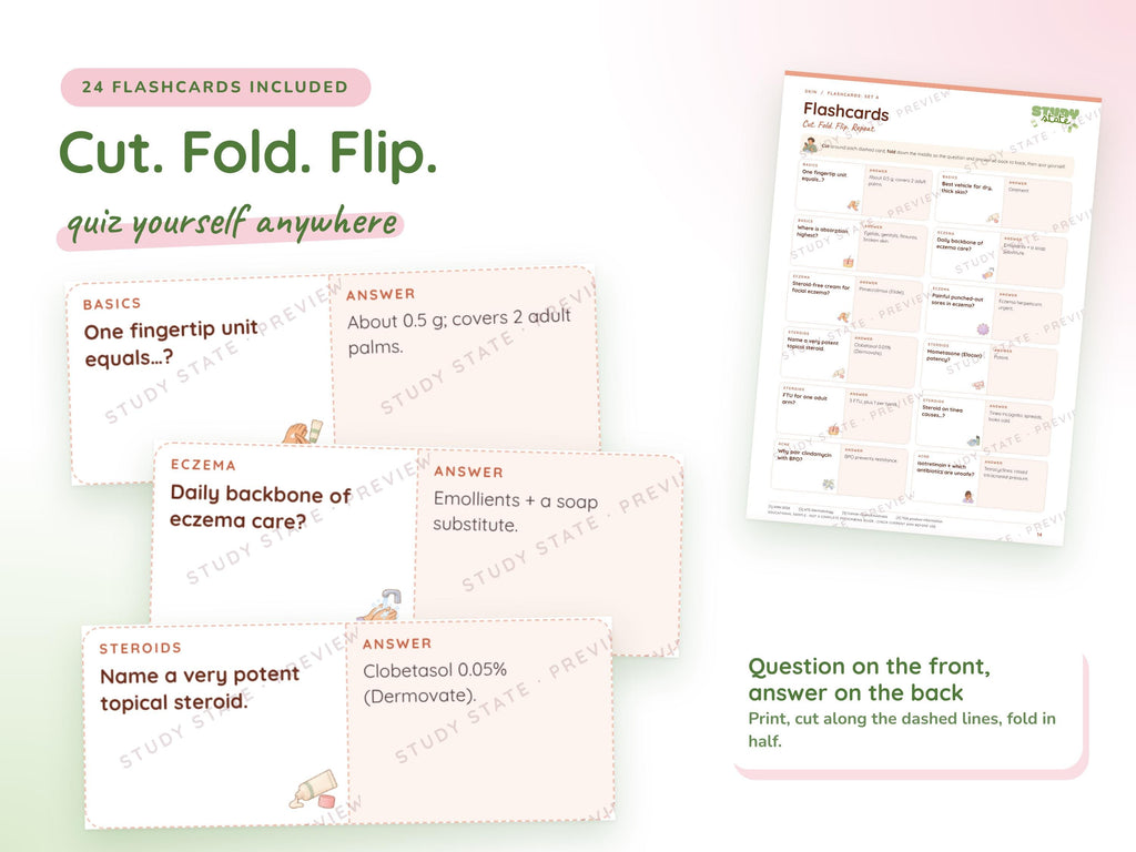 Skin study guide preview 4: inside pages, cases and flashcards