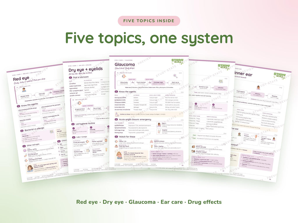 Eyes + Ears study guide preview 6: inside pages, cases and flashcards