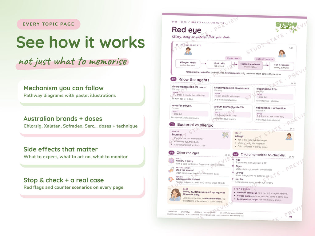 Eyes + Ears study guide preview 7: inside pages, cases and flashcards