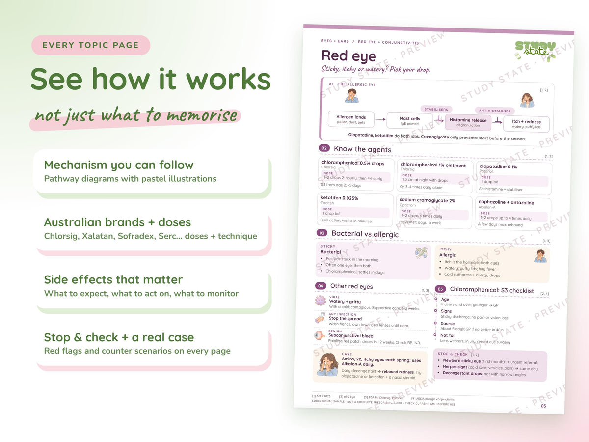 Eyes + Ears study guide preview 7: inside pages, cases and flashcards