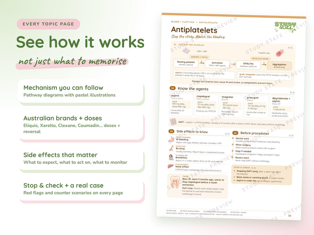 Blood + Clotting study guide preview 3: inside pages, cases and flashcards