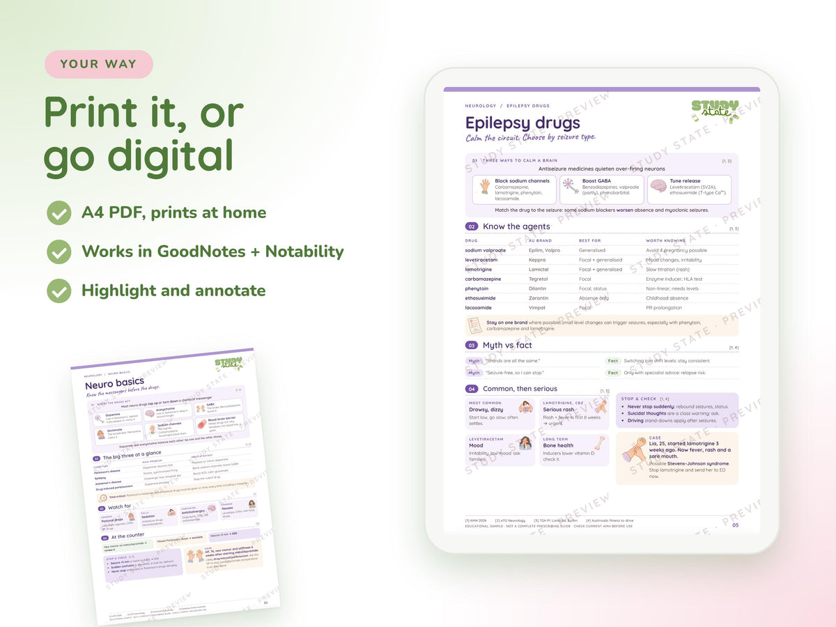 Neurology study guide preview 3: inside pages, cases and flashcards
