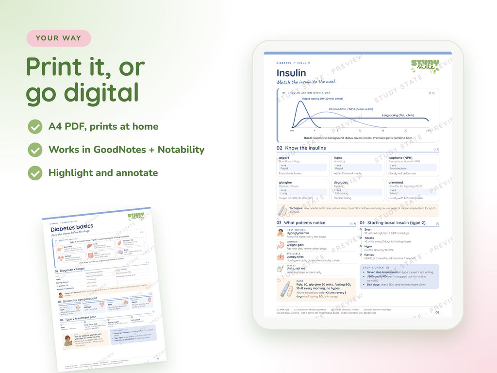 Diabetes study guide preview 3: inside pages, cases and flashcards