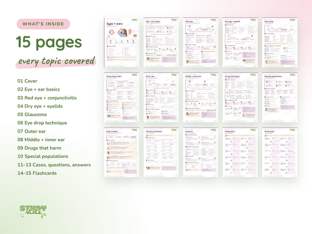Eyes + Ears study guide preview 8: inside pages, cases and flashcards