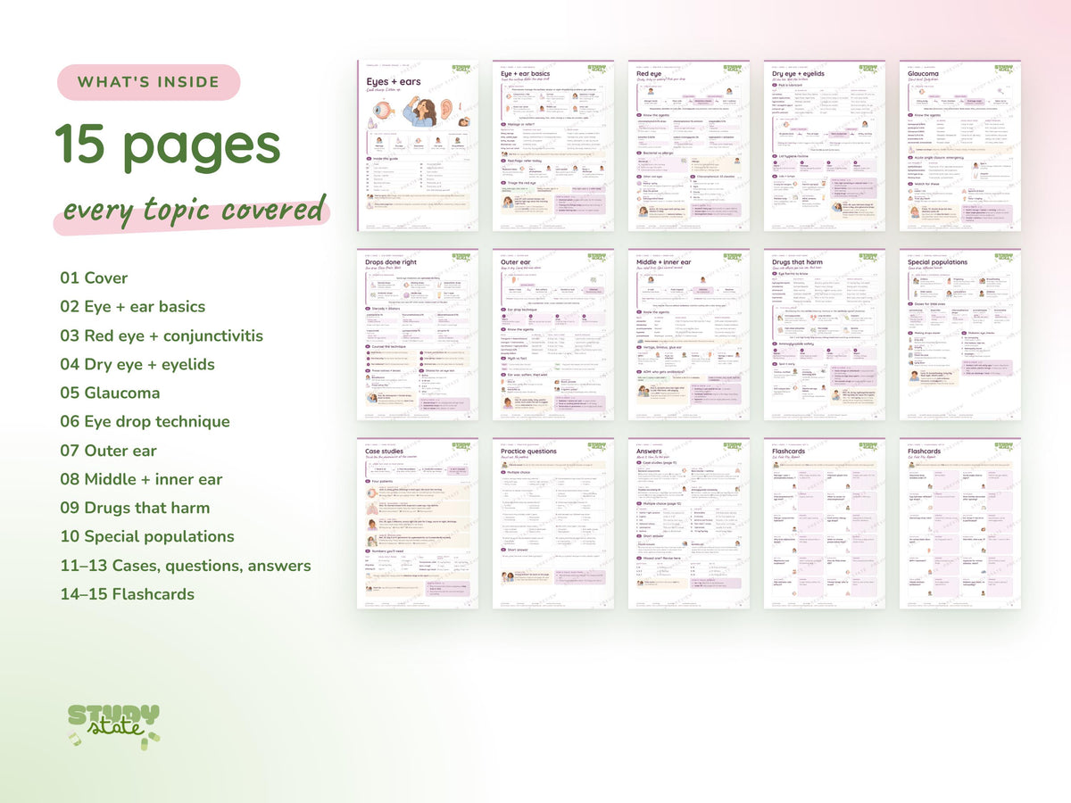 Eyes + Ears study guide preview 8: inside pages, cases and flashcards