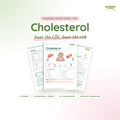 Cholesterol study guide PDF by Study State: cover and pages
