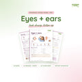 Eyes + Ears study guide PDF by Study State: cover and pages
