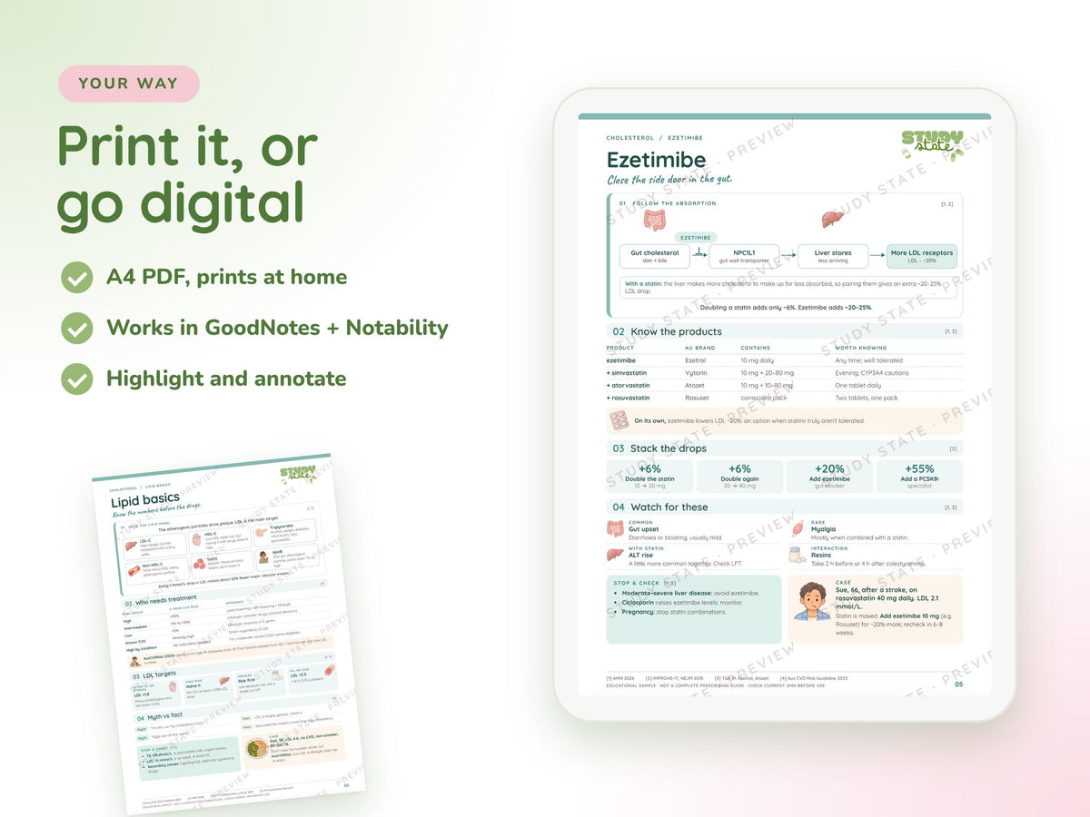 Cholesterol study guide preview 3: inside pages, cases and flashcards