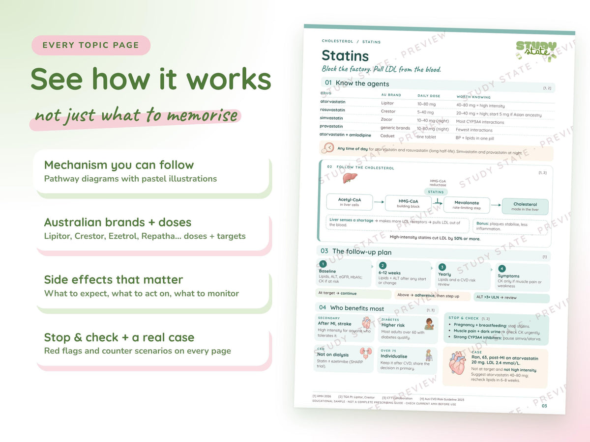 Cholesterol study guide preview 7: inside pages, cases and flashcards
