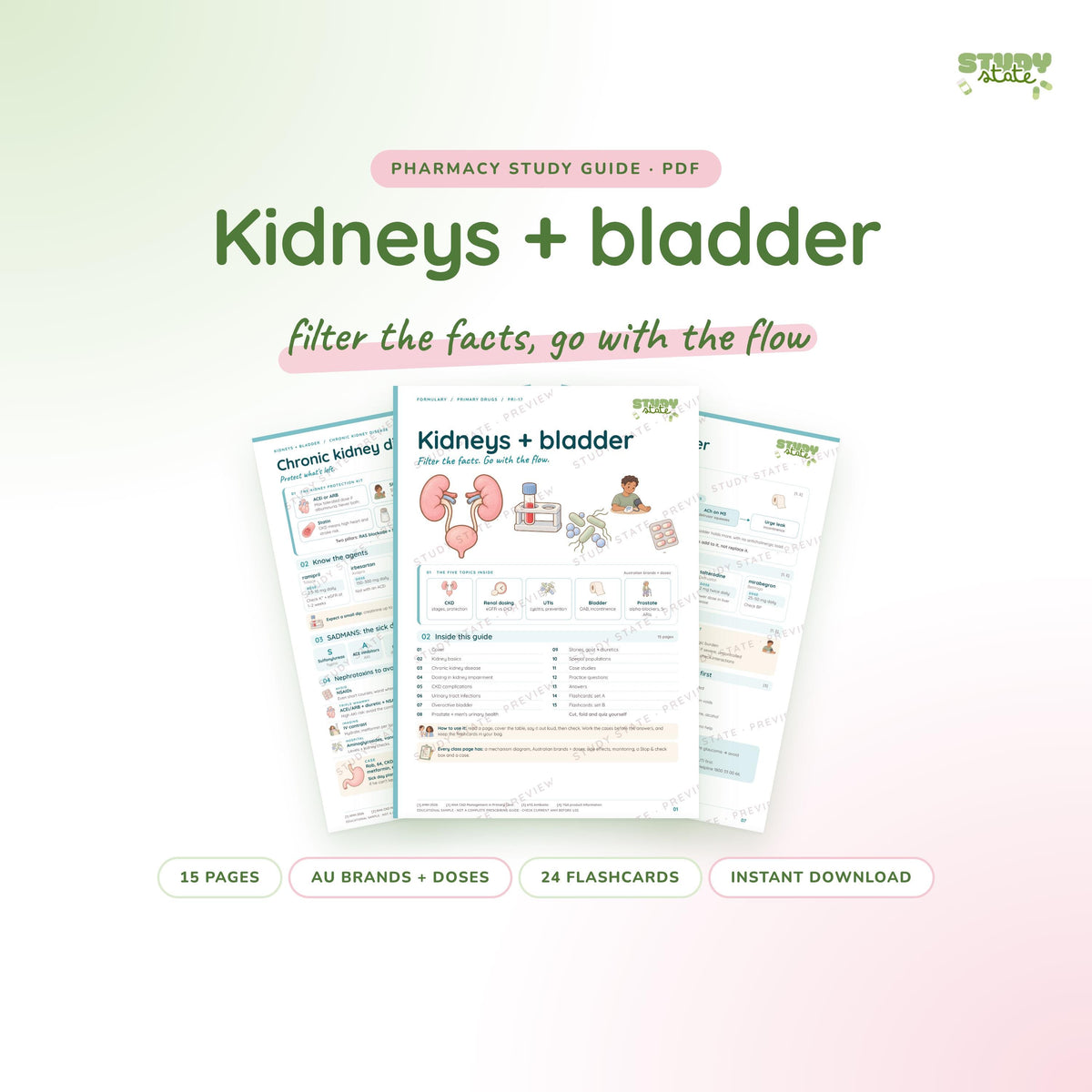 Kidneys + Bladder study guide PDF by Study State: cover and pages