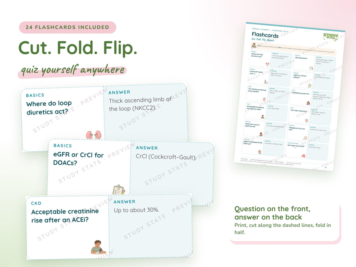 Kidneys + Bladder study guide preview 4: inside pages, cases and flashcards
