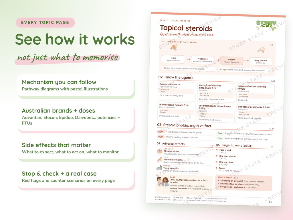 Skin study guide preview 7: inside pages, cases and flashcards