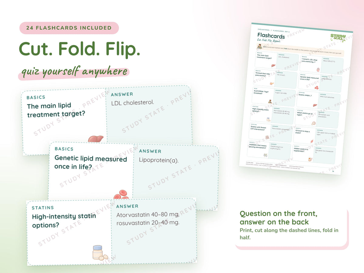 Cholesterol study guide preview 4: inside pages, cases and flashcards