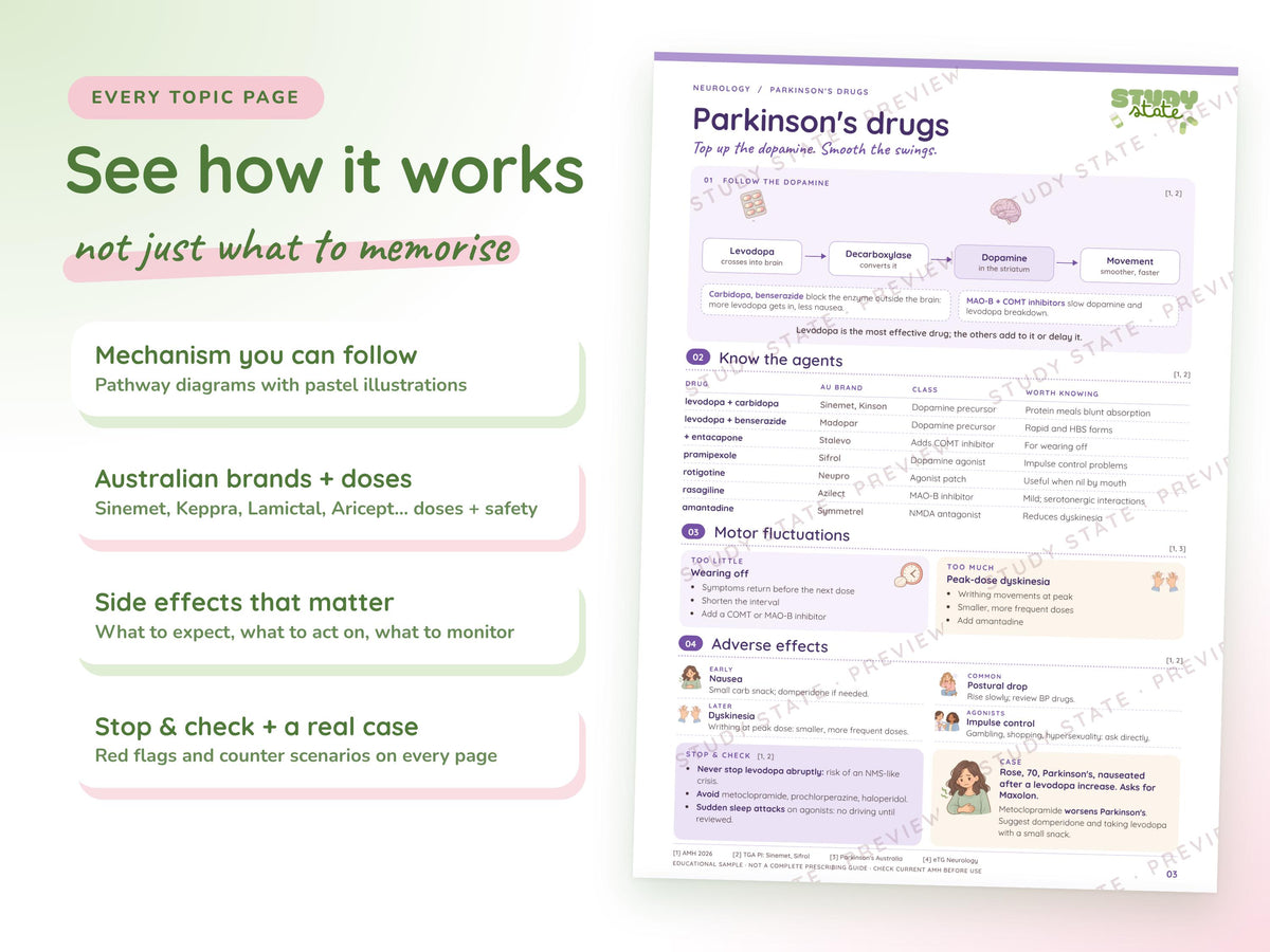 Neurology study guide preview 7: inside pages, cases and flashcards