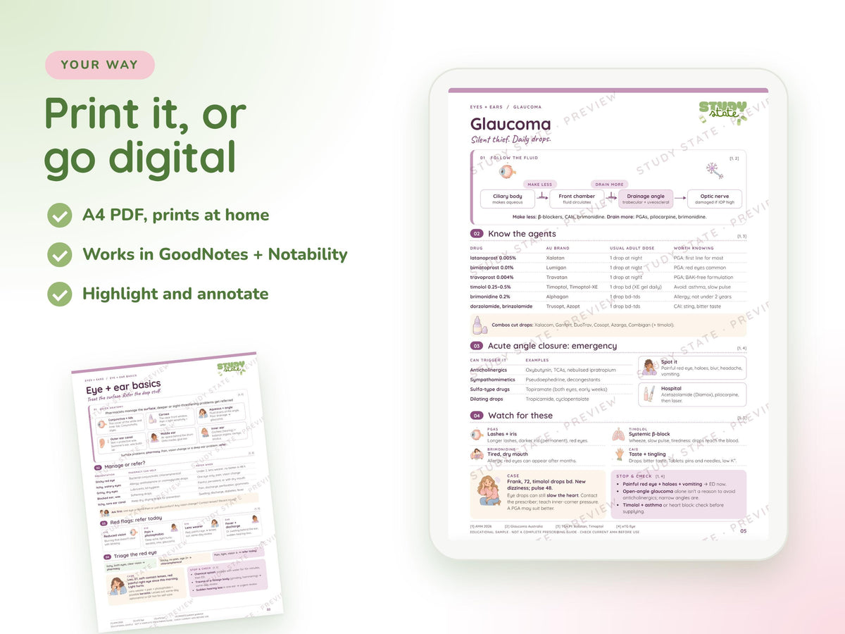 Eyes + Ears study guide preview 3: inside pages, cases and flashcards
