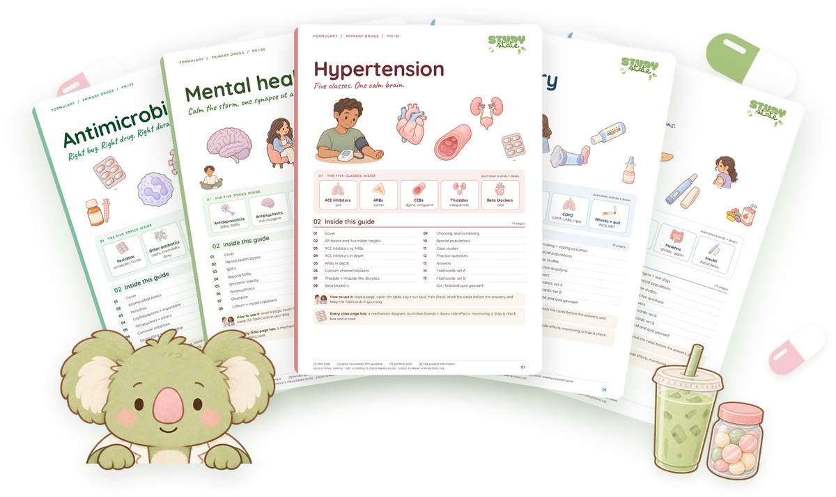 Study State guide covers fanned out, with the koala mascot peeking over the edge and an iced matcha