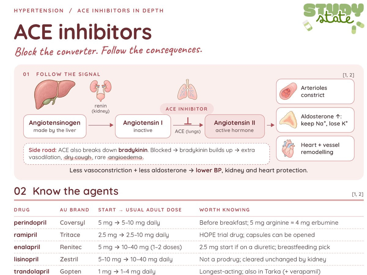 ACE inhibitors page showing the angiotensin pathway mechanism diagram